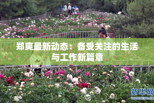 郑爽最新动态：备受关注的生活与工作新篇章
