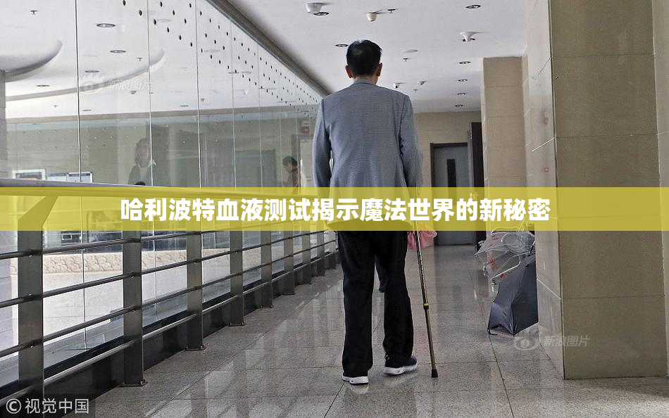 哈利波特血液测试揭示魔法世界的新秘密
