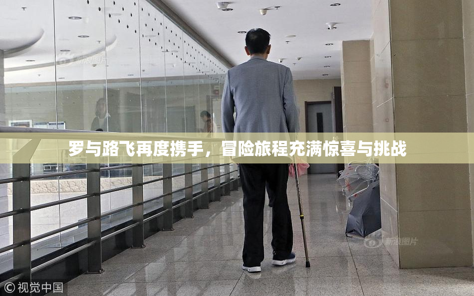 罗与路飞再度携手，冒险旅程充满惊喜与挑战