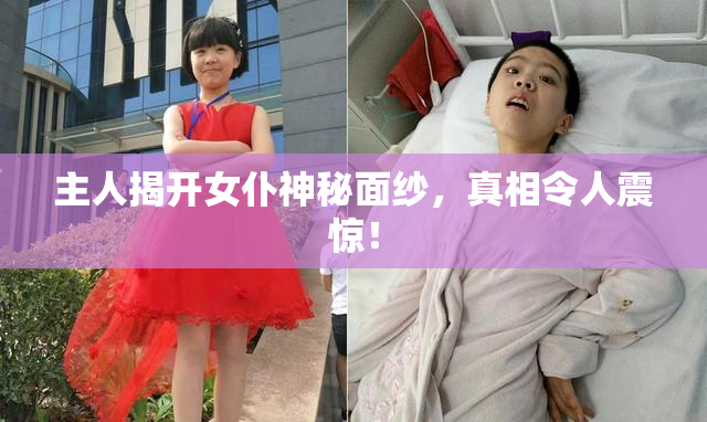 主人揭开女仆神秘面纱，真相令人震惊！
