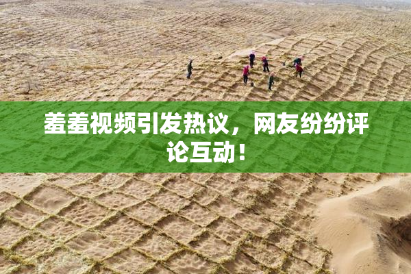 羞羞视频引发热议，网友纷纷评论互动！