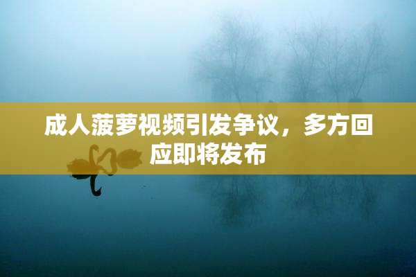 成人菠萝视频引发争议，多方回应即将发布