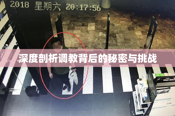 深度剖析调教背后的秘密与挑战