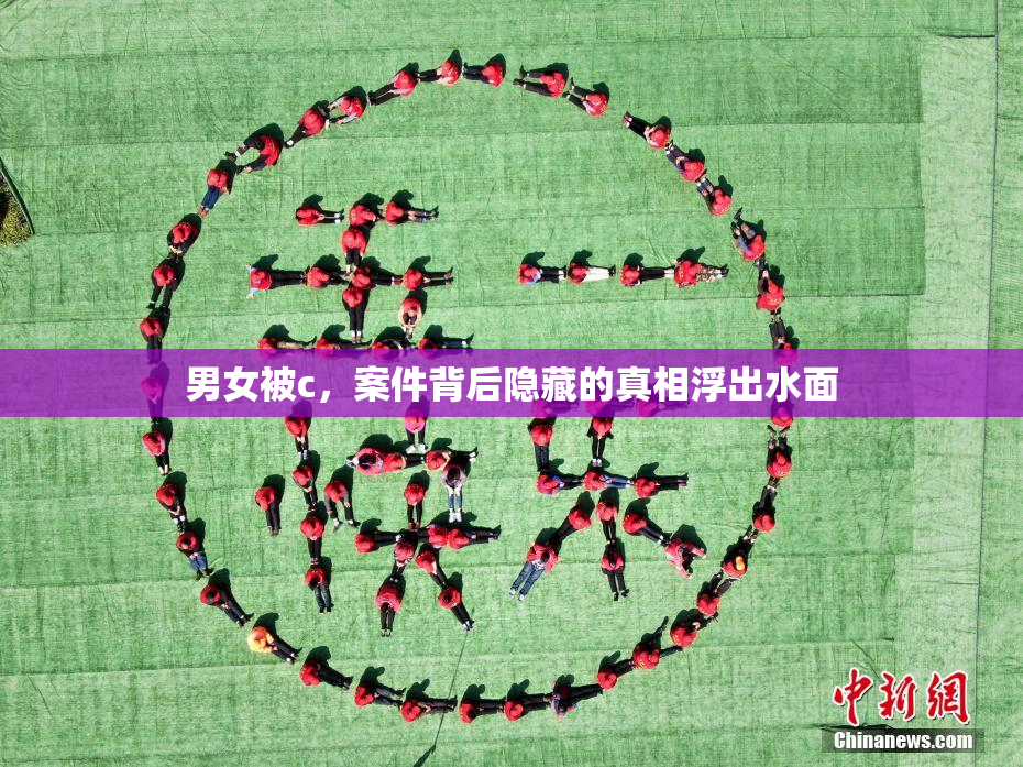 男女被c，案件背后隐藏的真相浮出水面