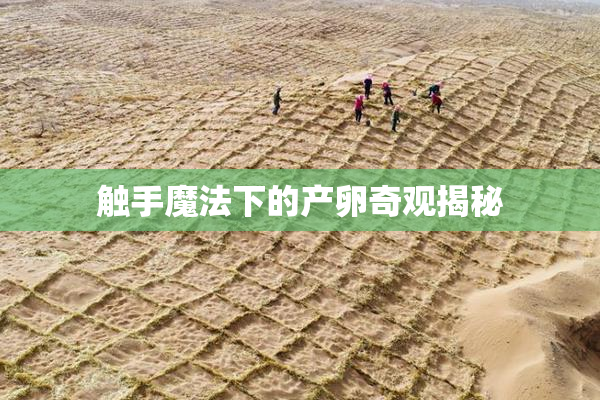 触手魔法下的产卵奇观揭秘
