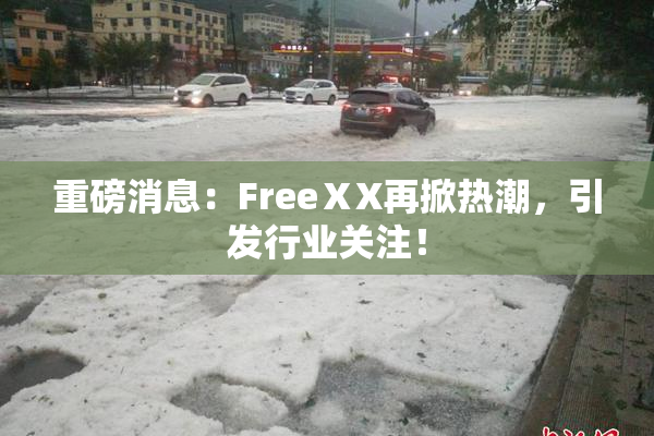 重磅消息：FreeⅩX再掀热潮，引发行业关注！