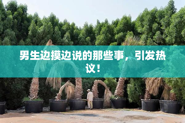 男生边摸边说的那些事，引发热议！