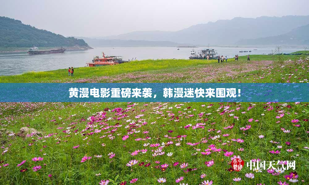 黄漫电影重磅来袭，韩漫迷快来围观！