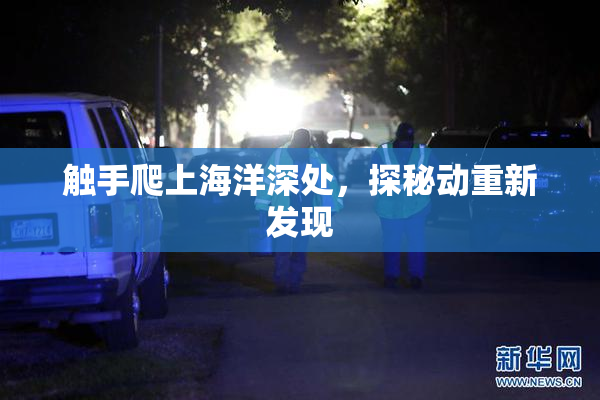 触手爬上海洋深处，探秘动重新发现