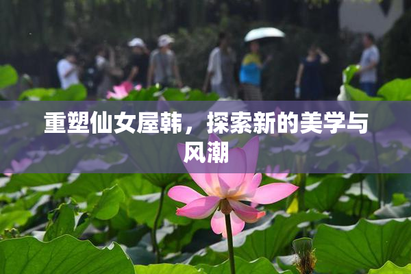 重塑仙女屋韩，探索新的美学与风潮