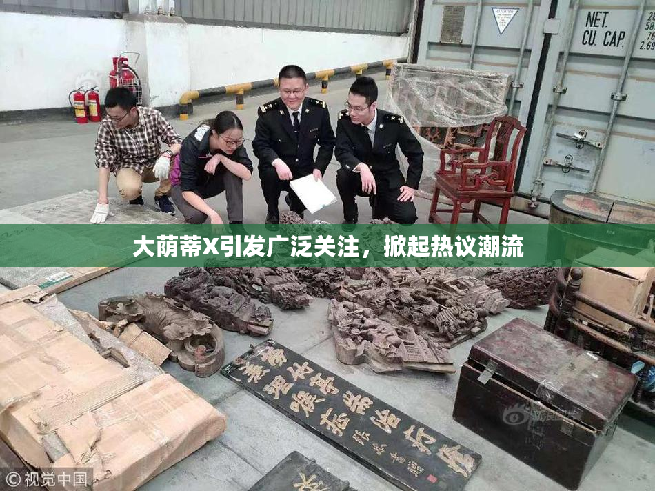 大荫蒂X引发广泛关注，掀起热议潮流