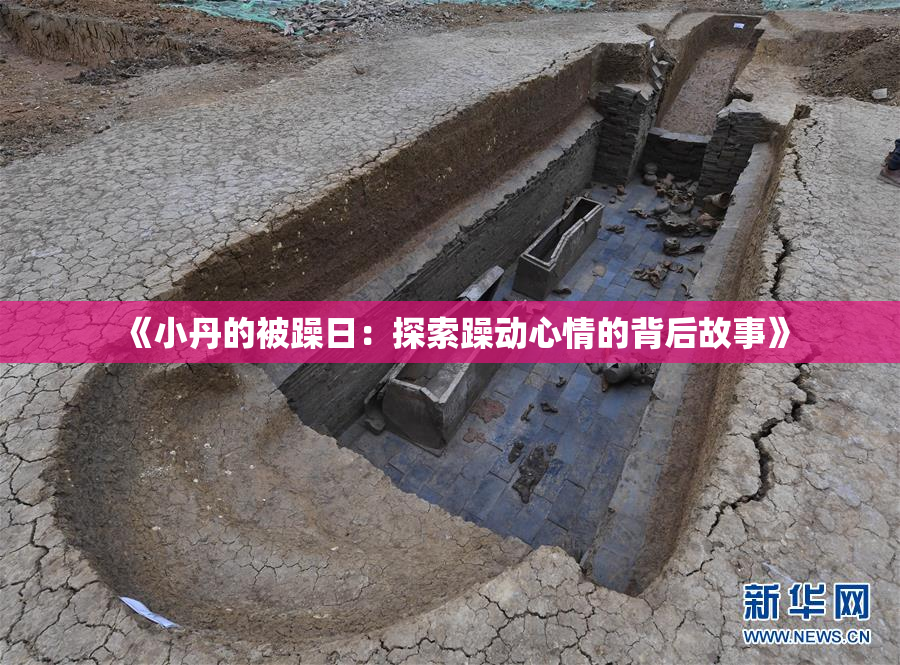 《小丹的被躁日：探索躁动心情的背后故事》