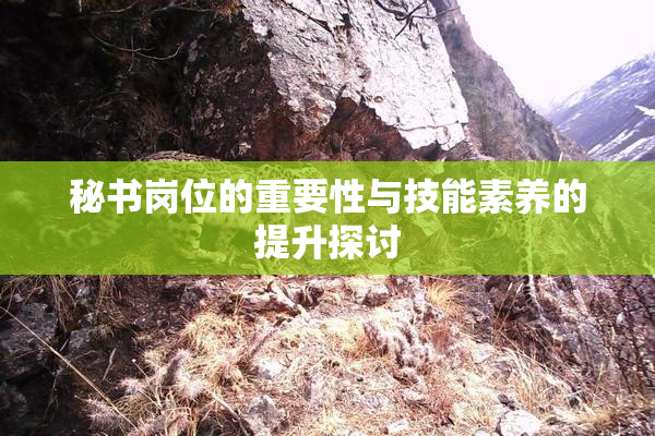 秘书岗位的重要性与技能素养的提升探讨