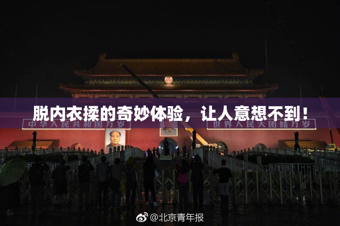 脱内衣揉的奇妙体验，让人意想不到！