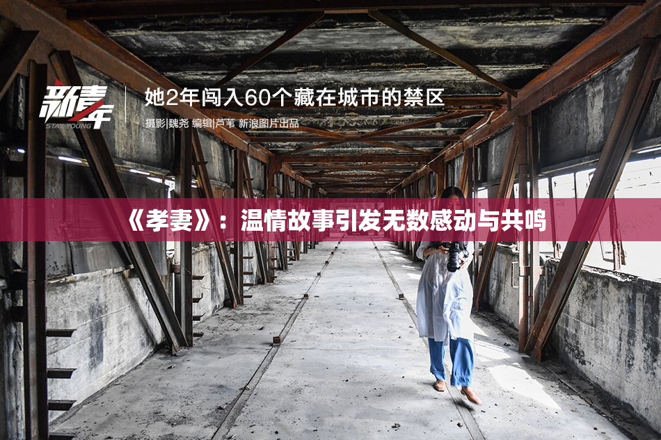 《孝妻》：温情故事引发无数感动与共鸣