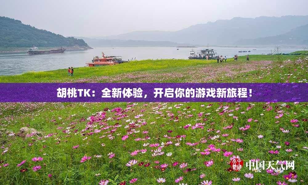 胡桃TK：全新体验，开启你的游戏新旅程！