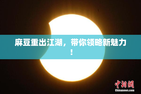 麻豆重出江湖，带你领略新魅力！
