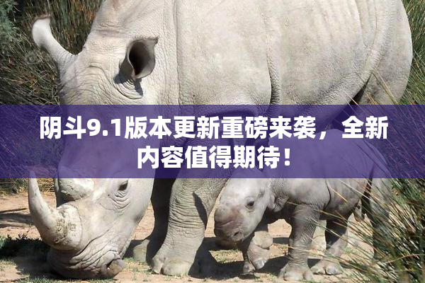 阴斗9.1版本更新重磅来袭，全新内容值得期待！