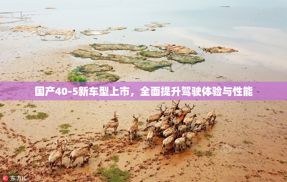 国产40-5新车型上市，全面提升驾驶体验与性能