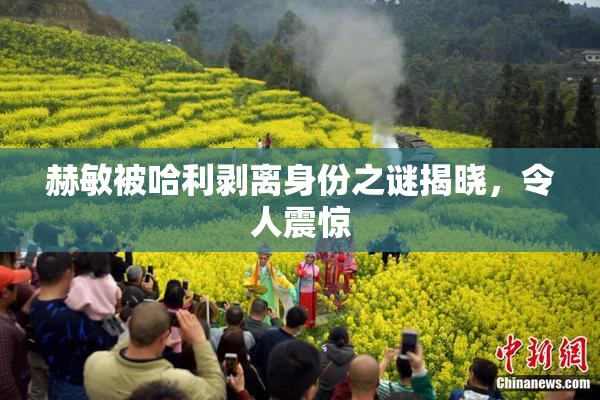 赫敏被哈利剥离身份之谜揭晓，令人震惊