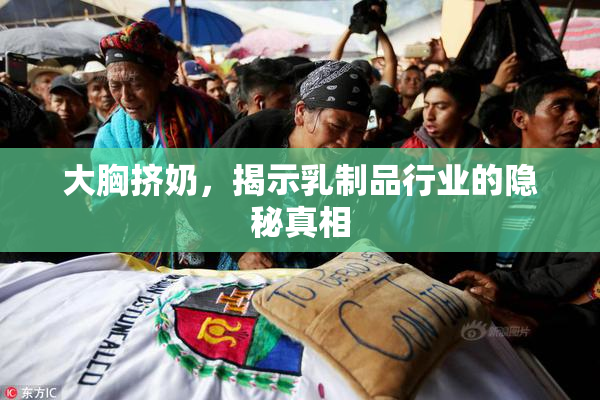 大胸挤奶，揭示乳制品行业的隐秘真相