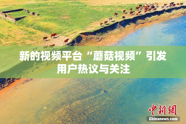 新的视频平台“蘑菇视频”引发用户热议与关注