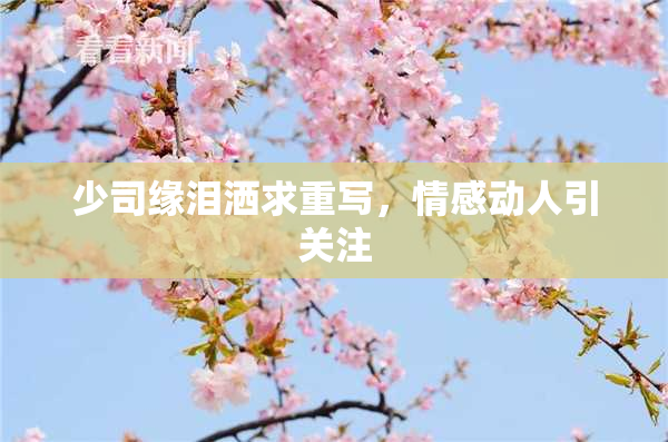 少司缘泪洒求重写，情感动人引关注