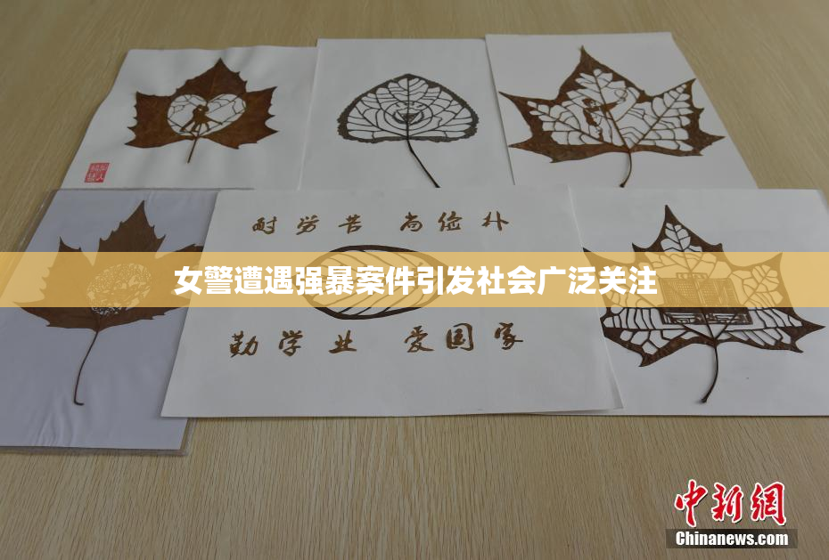 女警遭遇强暴案件引发社会广泛关注