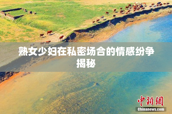 熟女少妇在私密场合的情感纷争揭秘
