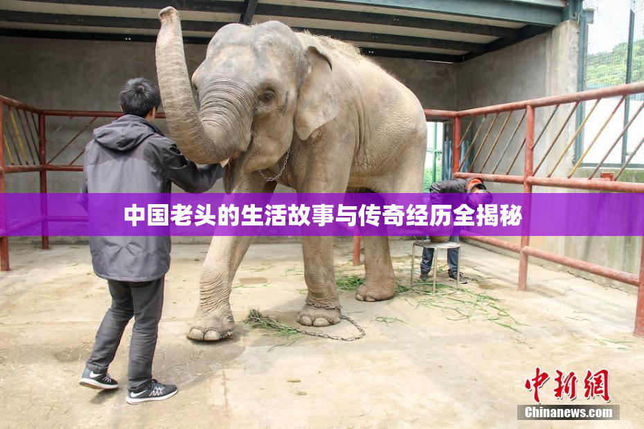 中国老头的生活故事与传奇经历全揭秘