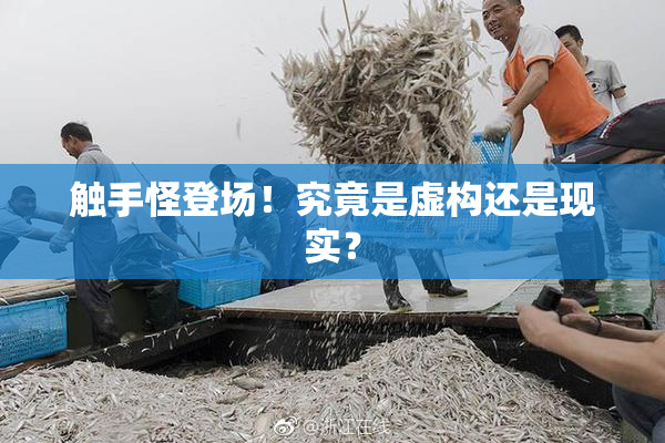 触手怪登场！究竟是虚构还是现实？