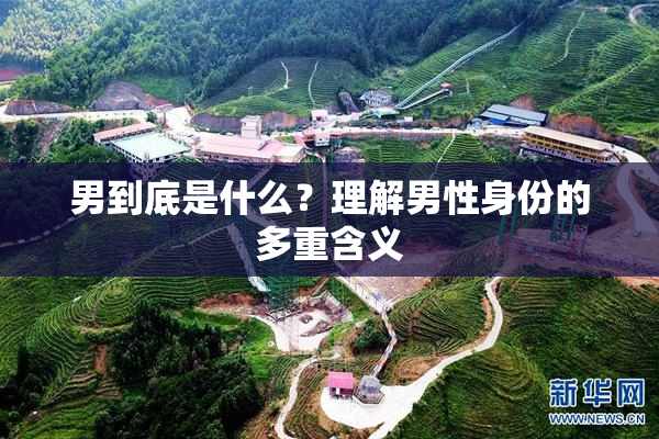 男到底是什么？理解男性身份的多重含义