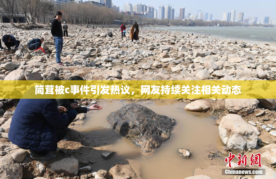 简茸被c事件引发热议，网友持续关注相关动态