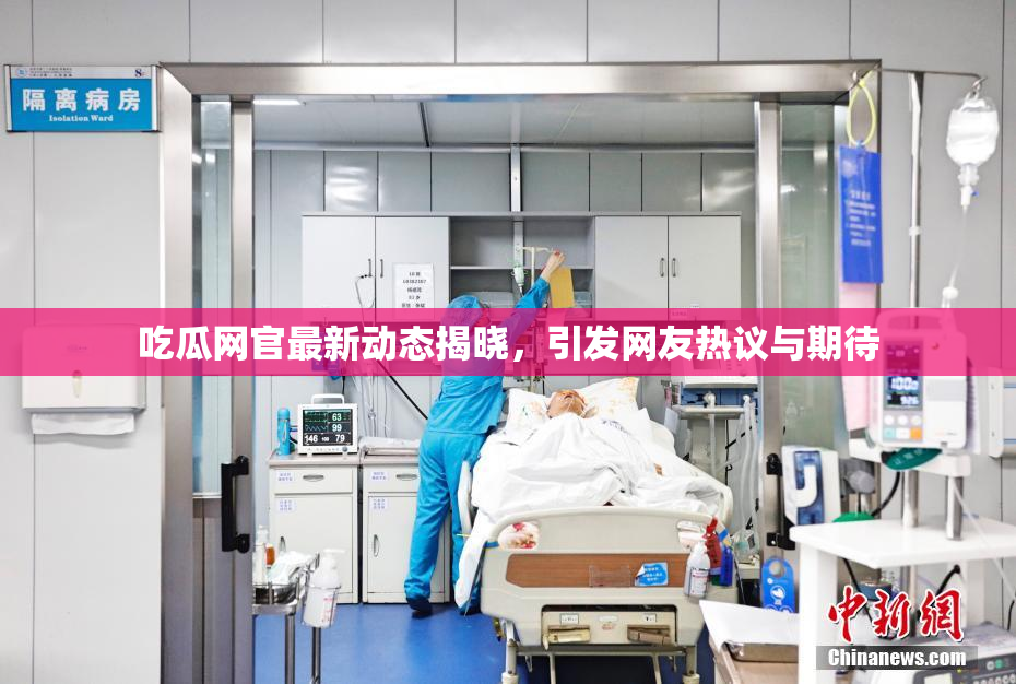 吃瓜网官最新动态揭晓，引发网友热议与期待