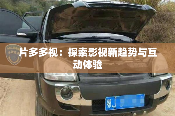 片多多视：探索影视新趋势与互动体验