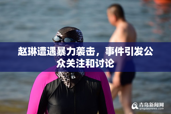 赵琳遭遇暴力袭击，事件引发公众关注和讨论