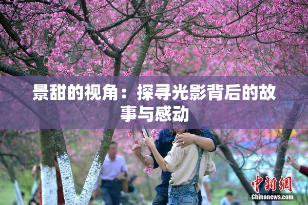 景甜的视角：探寻光影背后的故事与感动