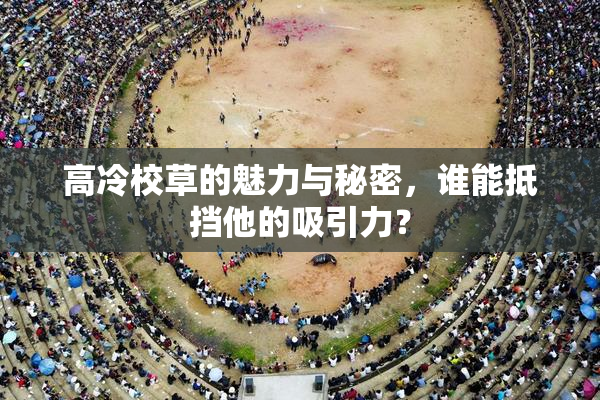 高冷校草的魅力与秘密，谁能抵挡他的吸引力？