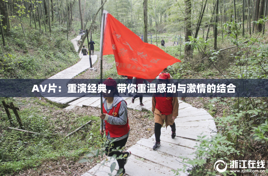 AV片：重演经典，带你重温感动与激情的结合