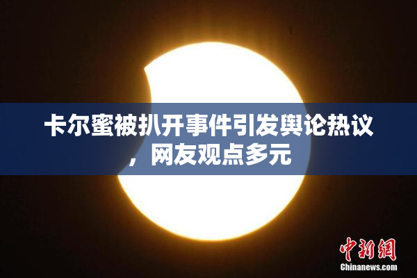 卡尔蜜被扒开事件引发舆论热议，网友观点多元