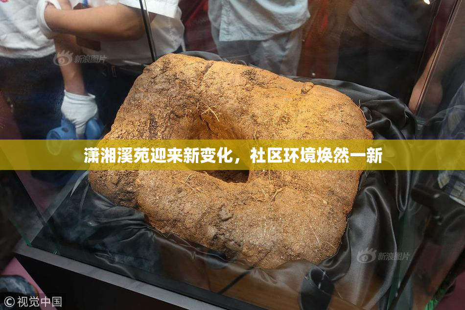 潇湘溪苑迎来新变化，社区环境焕然一新