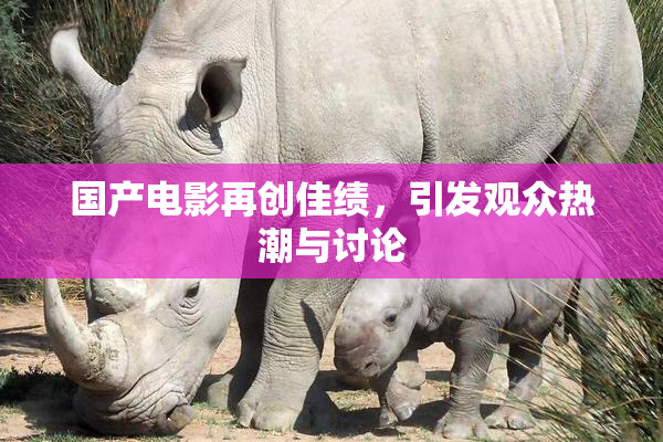 国产电影再创佳绩，引发观众热潮与讨论