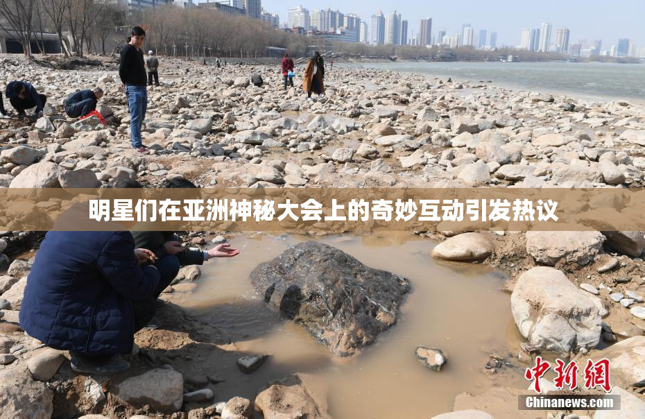 明星们在亚洲神秘大会上的奇妙互动引发热议