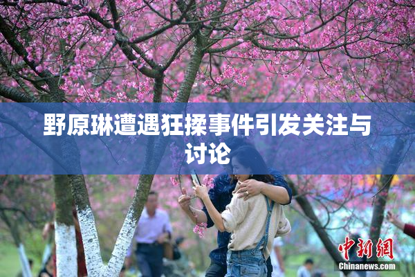 野原琳遭遇狂揉事件引发关注与讨论