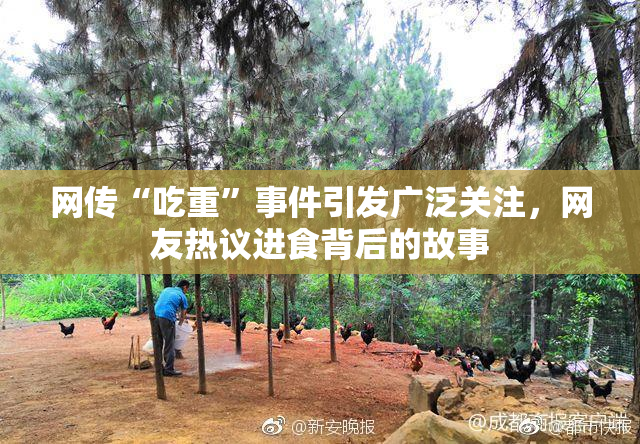 网传“吃重”事件引发广泛关注，网友热议进食背后的故事