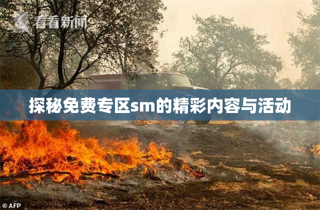 探秘免费专区sm的精彩内容与活动