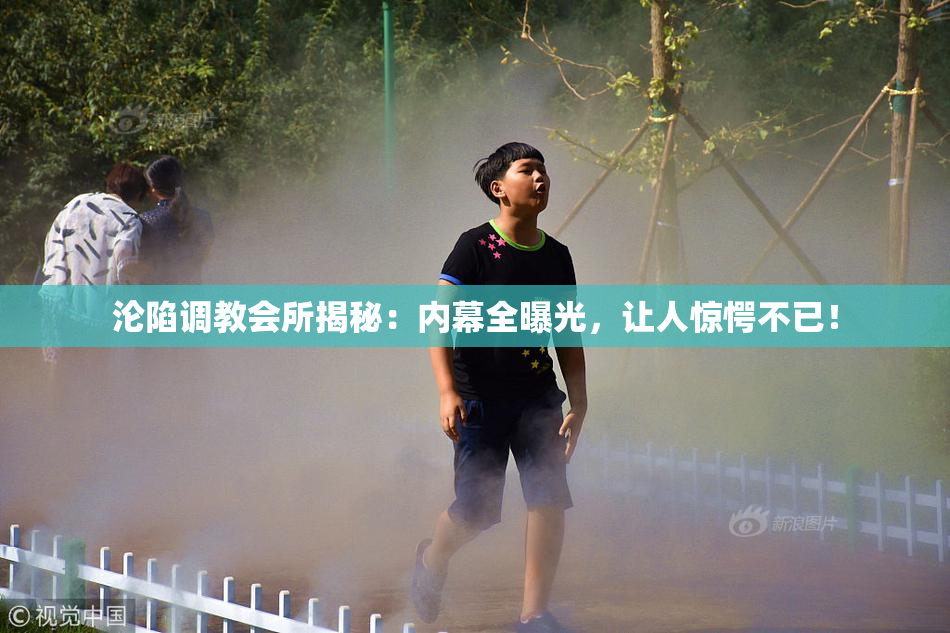 沦陷调教会所揭秘：内幕全曝光，让人惊愕不已！