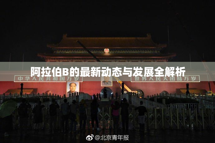 阿拉伯B的最新动态与发展全解析