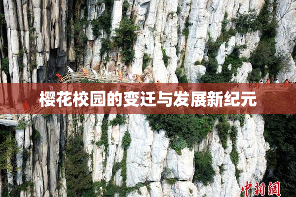 樱花校园的变迁与发展新纪元