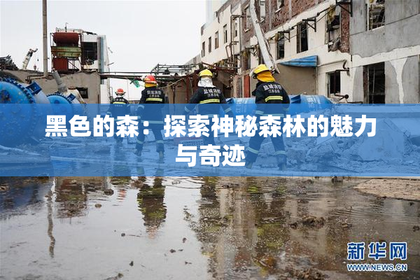黑色的森：探索神秘森林的魅力与奇迹